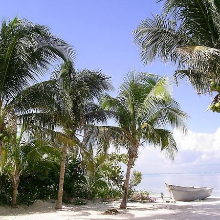 Marysol Beachfront Next To Nomads D6 Isla Mujeres Exterior foto