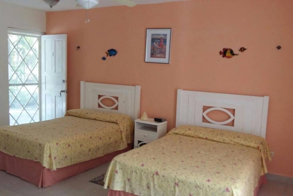 Marysol Beachfront Next To Nomads D6 Isla Mujeres Exterior foto