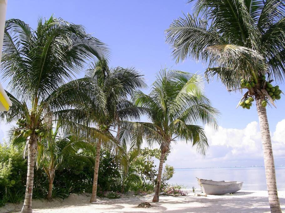 Marysol Beachfront Next To Nomads D6 Isla Mujeres Exterior foto